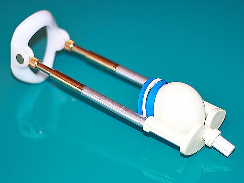 An extension of the penis